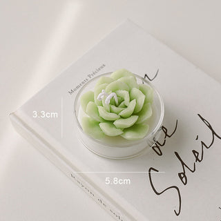Succulent Candle