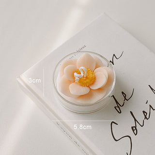 Succulent Candle