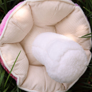 Auramma Collections Funky Kawaii Mixed Gradient Colors Orange Yellow Pastel Blue Pink Purple Radiant Magic Mushroom Shroom Plushie Throw Pillow