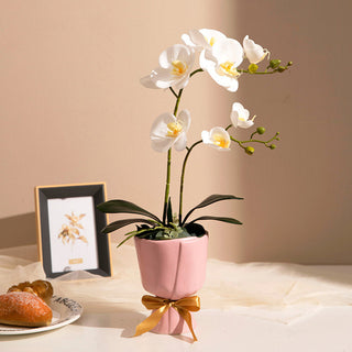 Auramma Collections Elegant Creative White Beige Ceramic Bouquet Shaped Gold Bow Ribbon Flower Vase