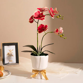 Auramma Collections Elegant Creative White Beige Ceramic Bouquet Shaped Gold Bow Ribbon Flower Vase
